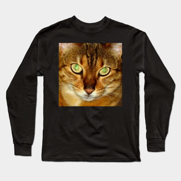 Beautiful Cat- Kumari Long Sleeve T-Shirt by Carole-Anne